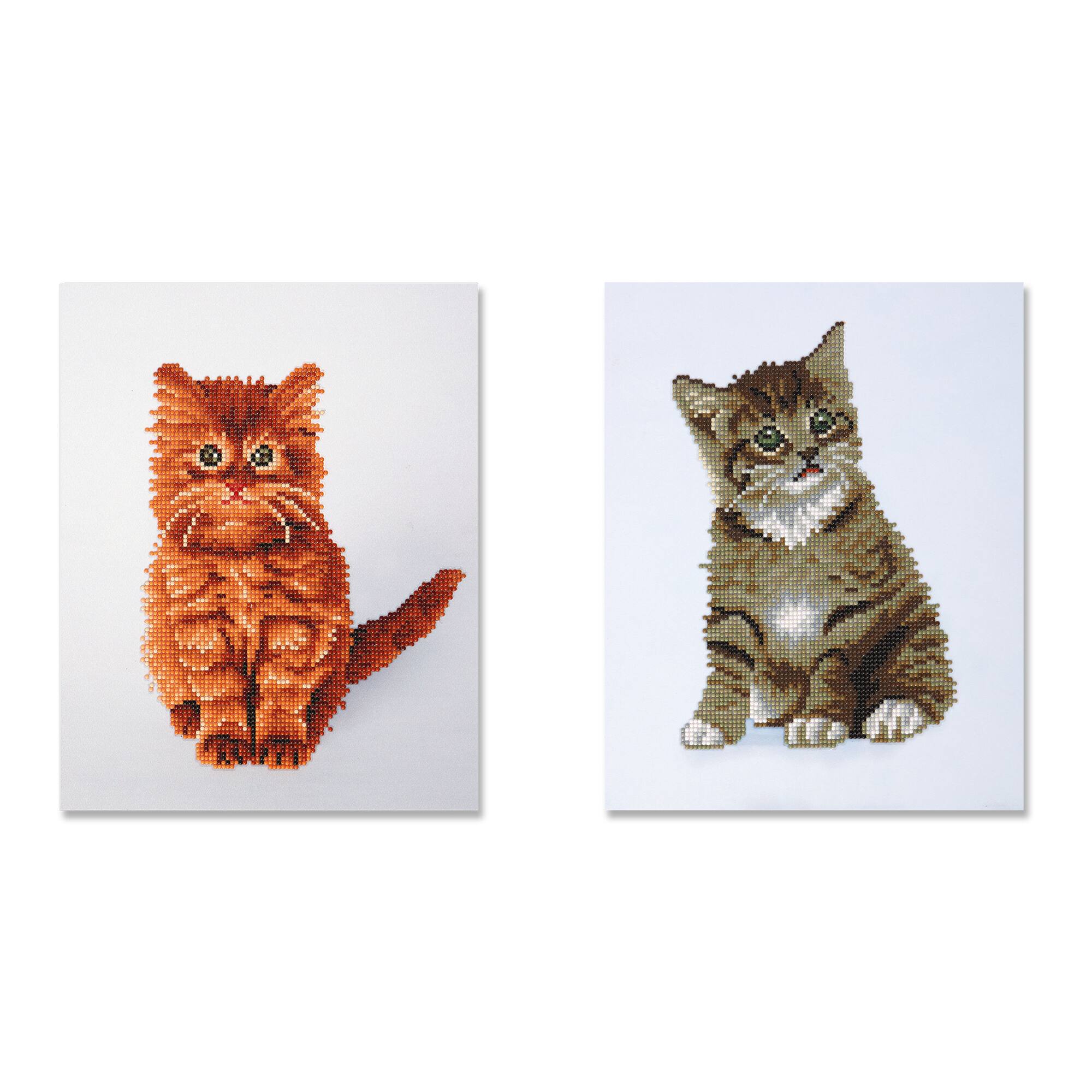 Duo Cat Diamond Art Kit by Make Market®
